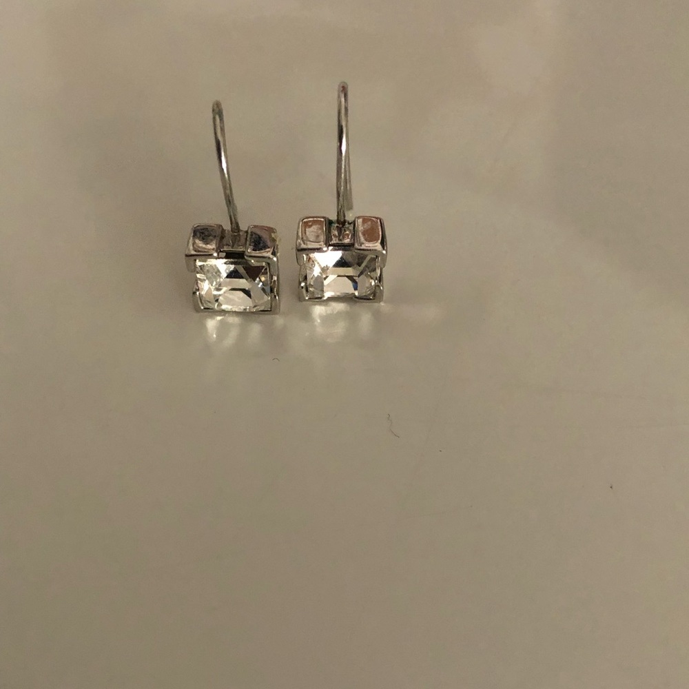 Drop Small Earrings in Silver